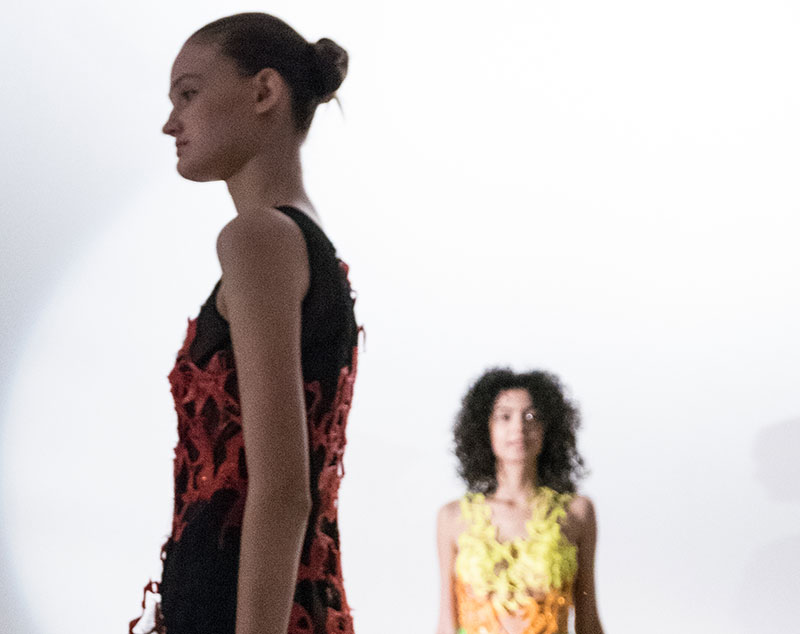 Fashion show in 3D printing technology